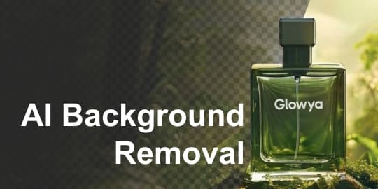 BGRemove - Function AI Template