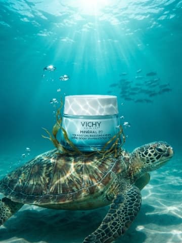 Oceanic Turtle Ride