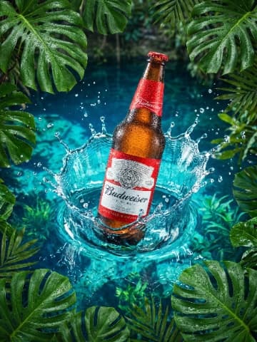 High-Speed Splash